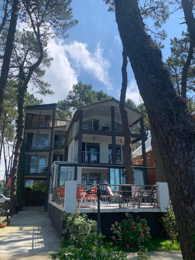 Mana-Mana Hotel Grigoleti ภายนอก รูปภาพ