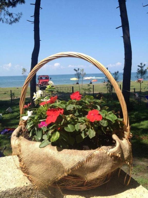 Mana-Mana Hotel Grigoleti ภายนอก รูปภาพ