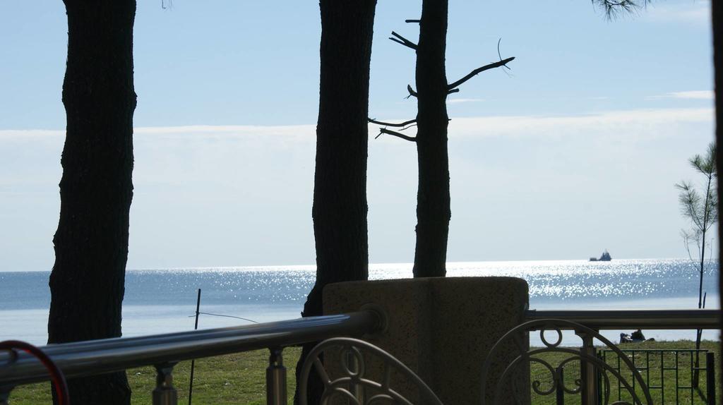 Mana-Mana Hotel Grigoleti ภายนอก รูปภาพ